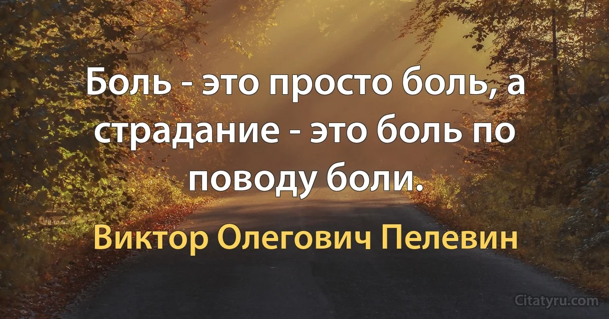 Боль - это просто боль, а страдание - это боль по поводу боли. (Виктор Олегович Пелевин)