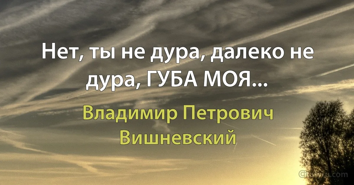 Нет, ты не дура, далеко не дура, ГУБА МОЯ... (Владимир Петрович Вишневский)