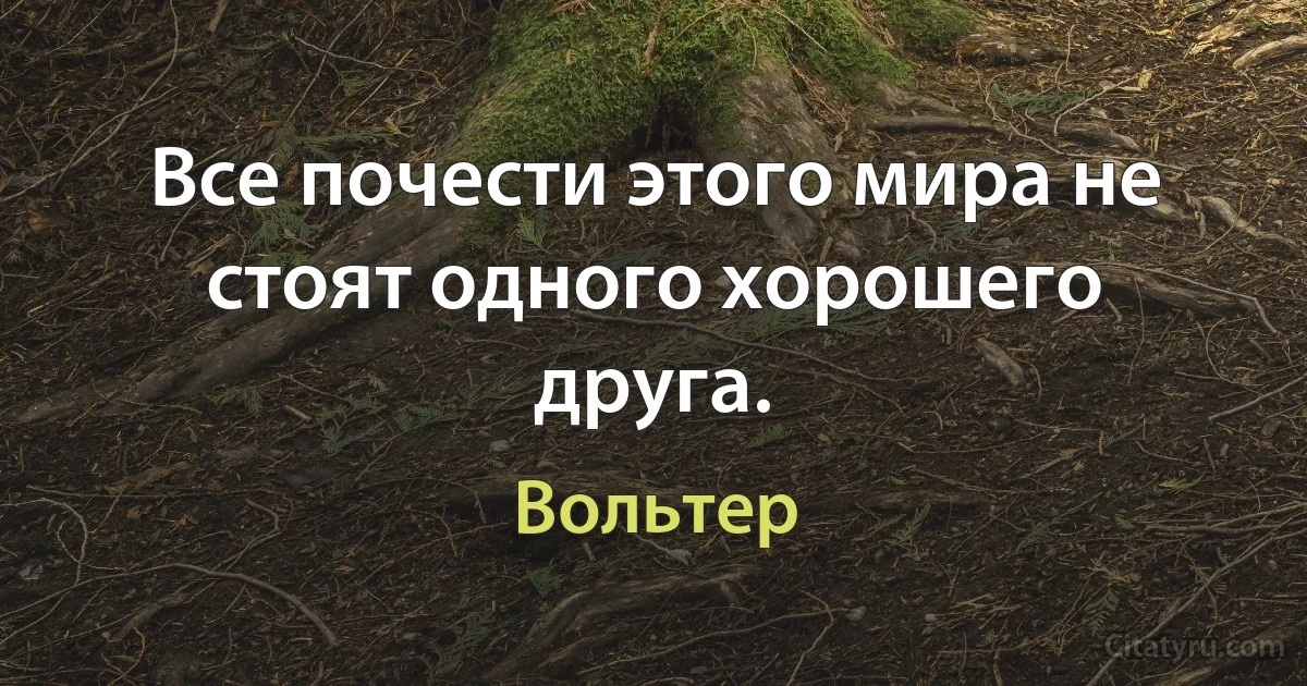 Все почести этого мира не стоят одного хорошего друга. (Вольтер)