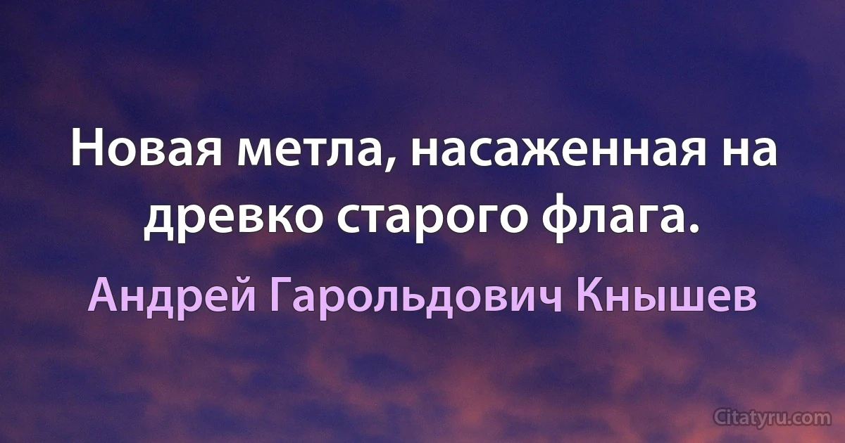 Новая метла, насаженная на древко старого флага. (Андрей Гарольдович Кнышев)