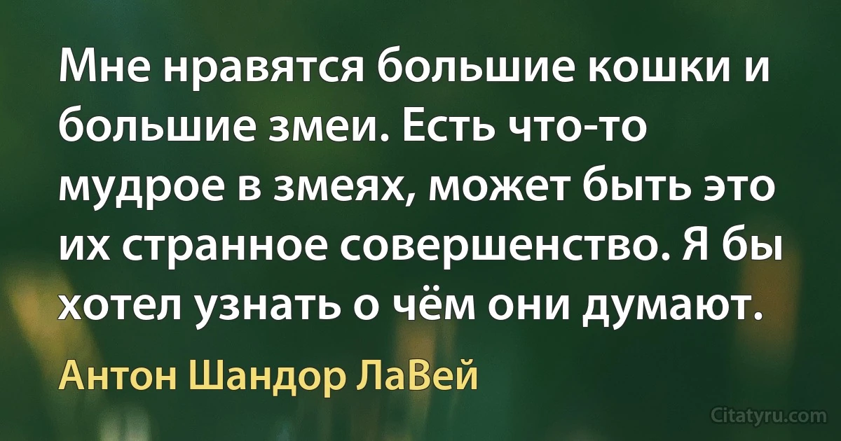 Мне нравятся большие кошки и большие змеи. Есть что-то мудрое в змеях, может быть это их странное совершенство. Я бы хотел узнать о чём они думают. (Антон Шандор ЛаВей)