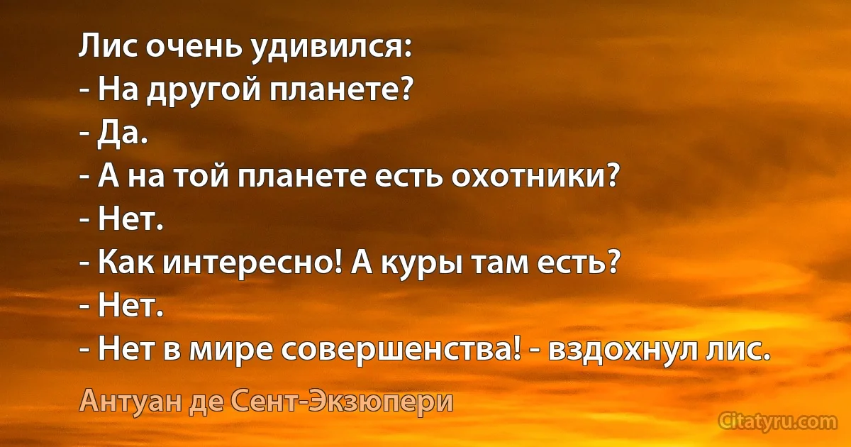 Лис очень удивился:
- На другой планете?
- Да.
- А на той планете есть охотники?
- Нет.
- Как интересно! А куры там есть?
- Нет.
- Нет в мире совершенства! - вздохнул лис. (Антуан де Сент-Экзюпери)