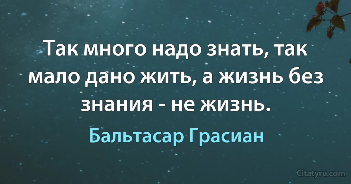 Так много надо знать, так мало дано жить, а жизнь без знания - не жизнь. (Бальтасар Грасиан)