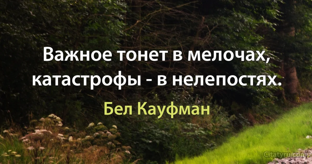 Важное тонет в мелочах, катастрофы - в нелепостях. (Бел Кауфман)