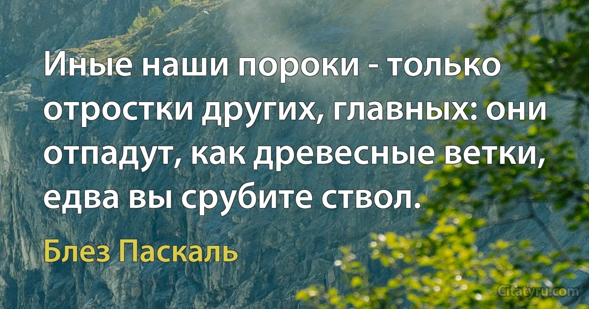 Иные наши пороки - только отростки других, главных: они отпадут, как древесные ветки, едва вы срубите ствол. (Блез Паскаль)