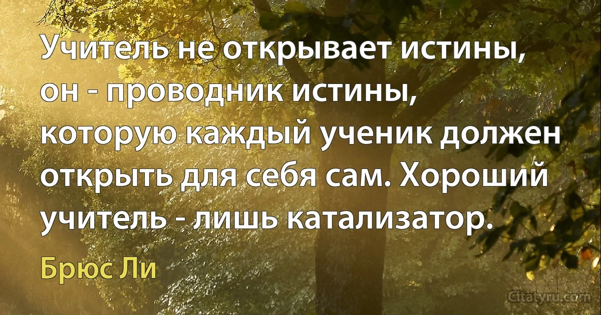 Учитель не открывает истины, он - проводник истины, которую каждый ученик должен открыть для себя сам. Хороший учитель - лишь катализатор. (Брюс Ли)