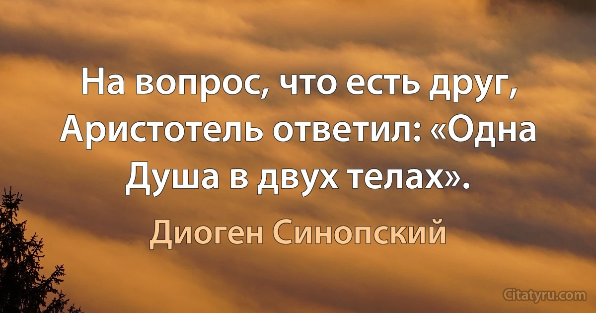 На вопрос, что есть друг, Аристотель ответил: «Одна Душа в двух телах». (Диоген Синопский)