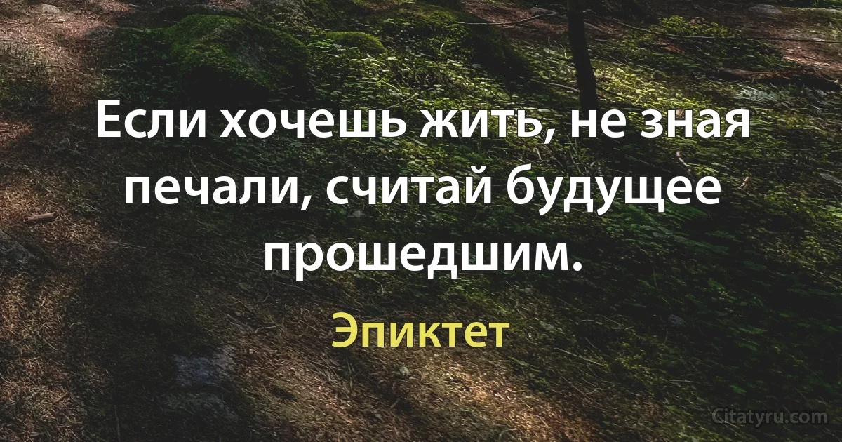 Если хочешь жить, не зная печали, считай будущее прошедшим. (Эпиктет)