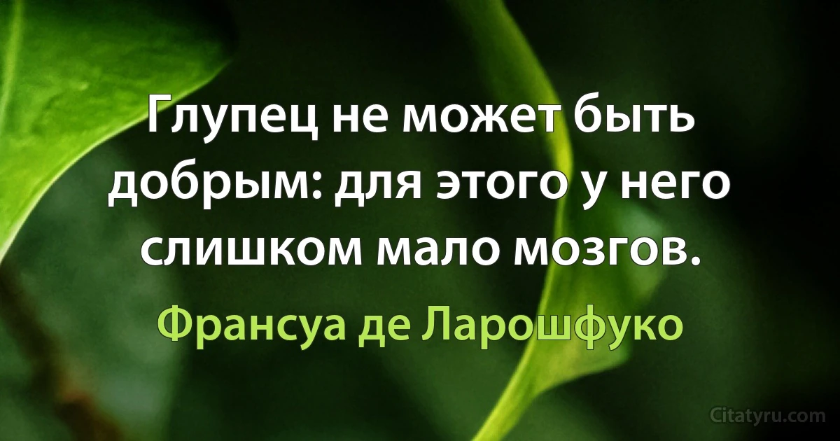 Глупец не может быть добрым: для этого у него слишком мало мозгов. (Франсуа де Ларошфуко)