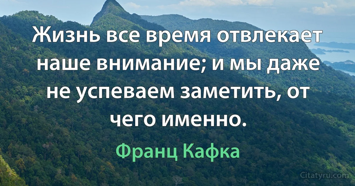 Жизнь все время отвлекает наше внимание; и мы даже не успеваем заметить, от чего именно. (Франц Кафка)