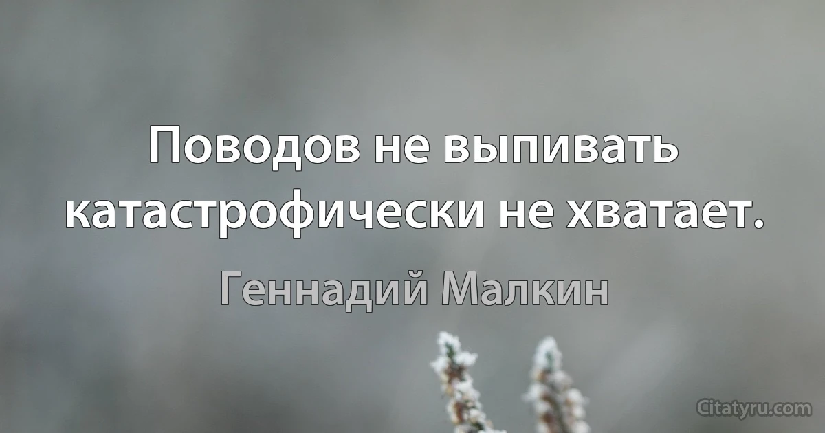 Поводов не выпивать катастрофически не хватает. (Геннадий Малкин)