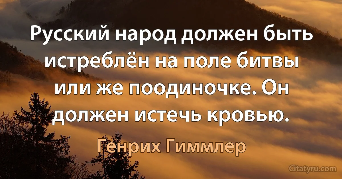 Русский народ должен быть истреблён на поле битвы или же поодиночке. Он должен истечь кровью. (Генрих Гиммлер)