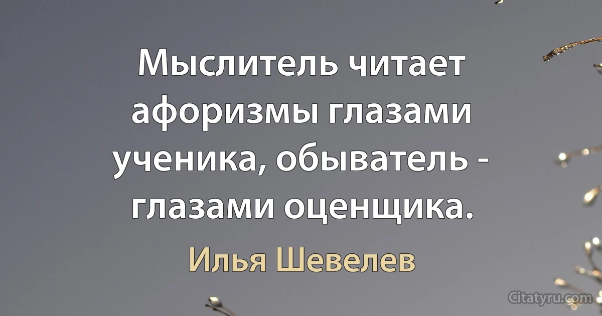 Мыслитель читает афоризмы глазами ученика, обыватель - глазами оценщика. (Илья Шевелев)