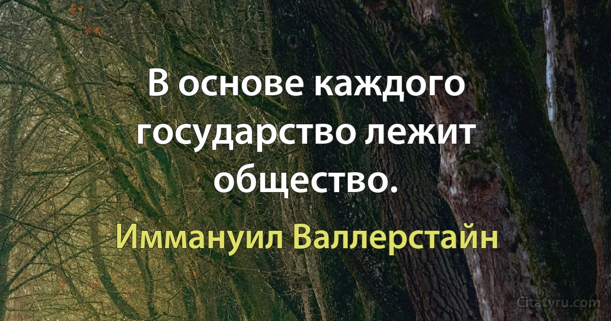 В основе каждого государство лежит общество. (Иммануил Валлерстайн)