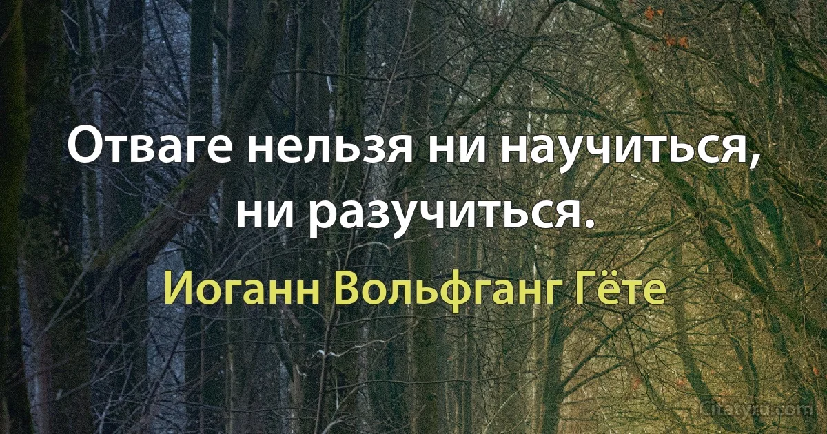 Отваге нельзя ни научиться, ни разучиться. (Иоганн Вольфганг Гёте)