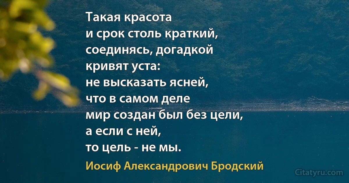 Такая красота
и срок столь краткий,
соединясь, догадкой
кривят уста:
не высказать ясней,
что в самом деле
мир создан был без цели,
а если с ней,
то цель - не мы. (Иосиф Александрович Бродский)