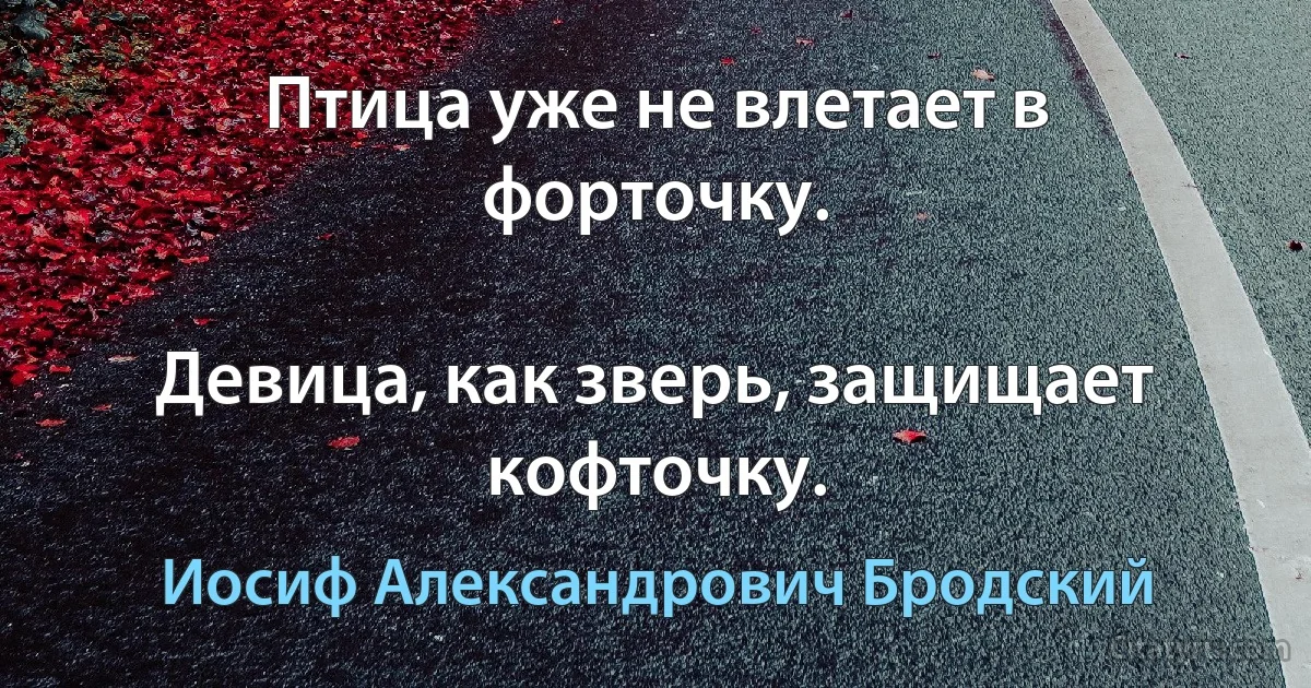 Птица уже не влетает в форточку.

Девица, как зверь, защищает кофточку. (Иосиф Александрович Бродский)