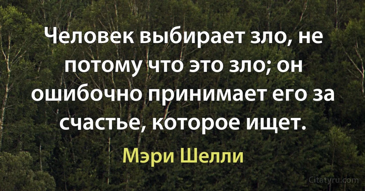 Человек выбирает зло, не потому что это зло; он ошибочно принимает его за счастье, которое ищет. (Мэри Шелли)