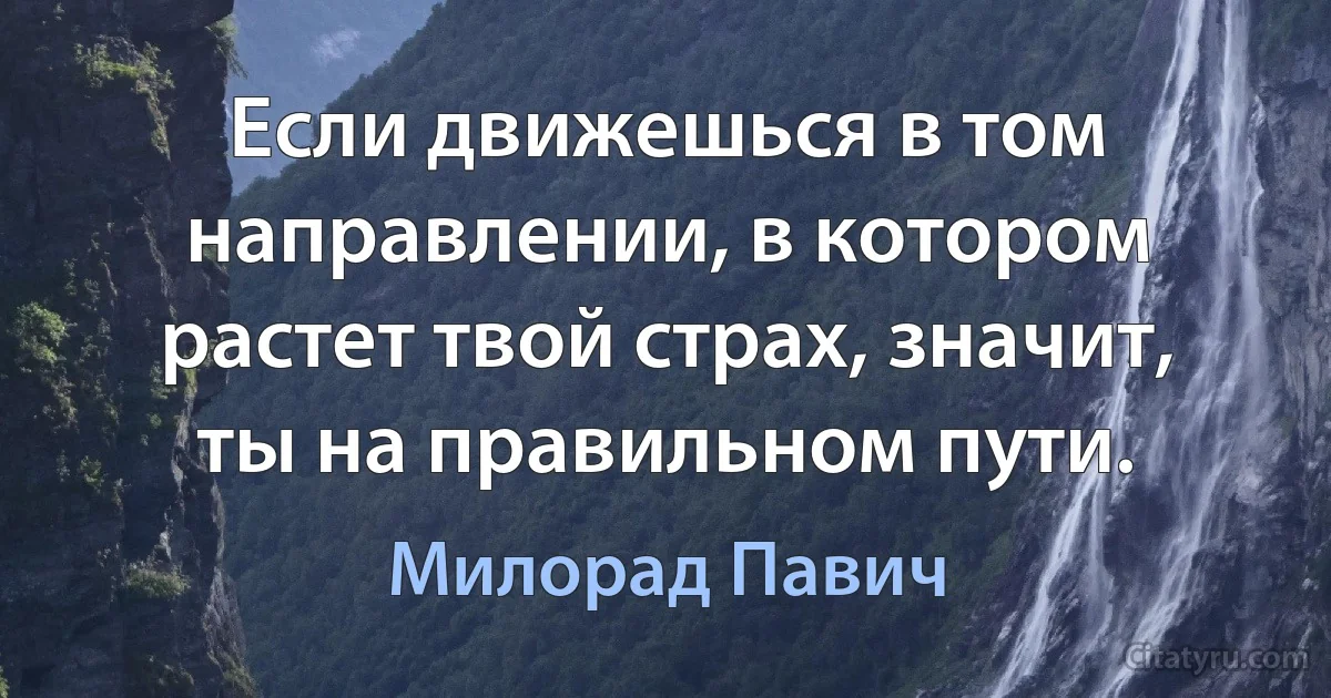 Если движешься в том направлении, в котором растет твой страх, значит, ты на правильном пути. (Милорад Павич)