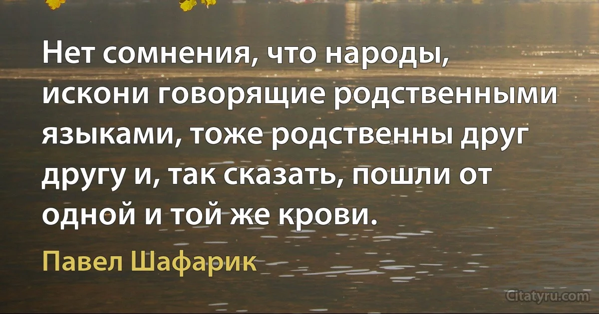 Нет сомнения, что народы, искони говорящие родственными языками, тоже родственны друг другу и, так сказать, пошли от одной и той же крови. (Павел Шафарик)