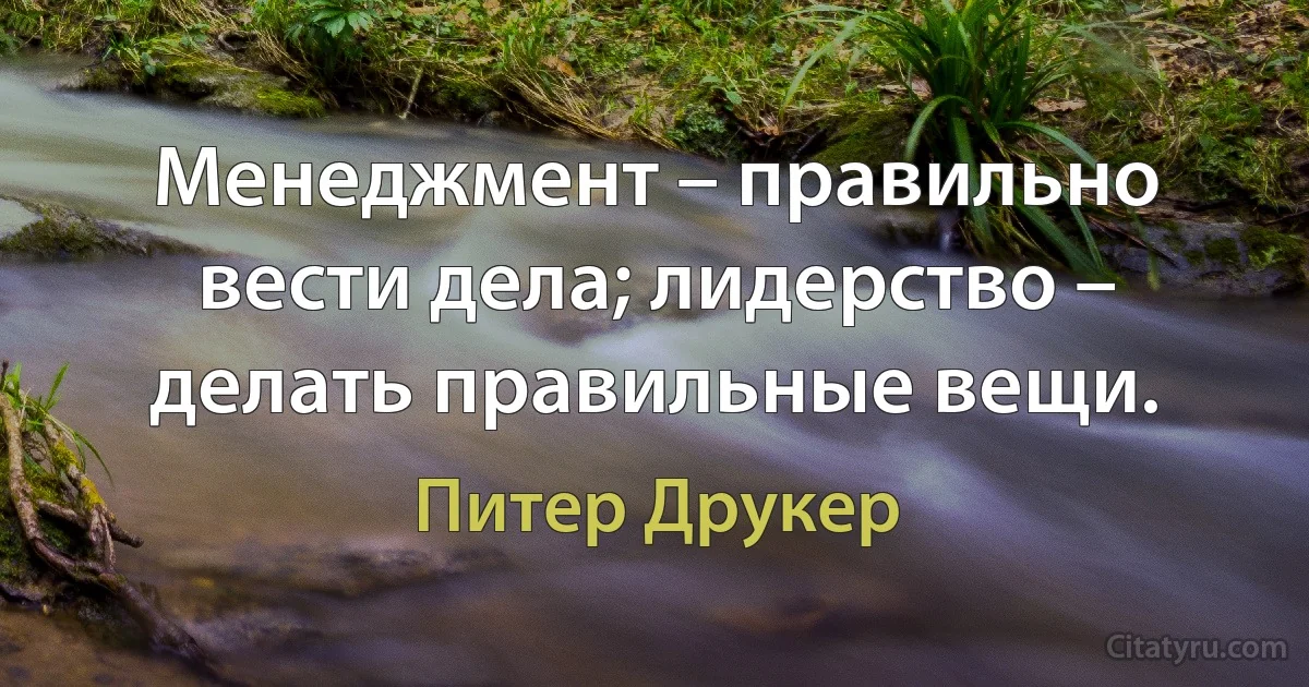 Менеджмент – правильно вести дела; лидерство – делать правильные вещи. (Питер Друкер)