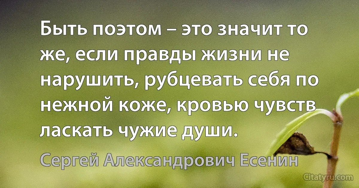 Быть поэтом – это значит то же, если правды жизни не нарушить, рубцевать себя по нежной коже, кровью чувств ласкать чужие души. (Сергей Александрович Есенин)