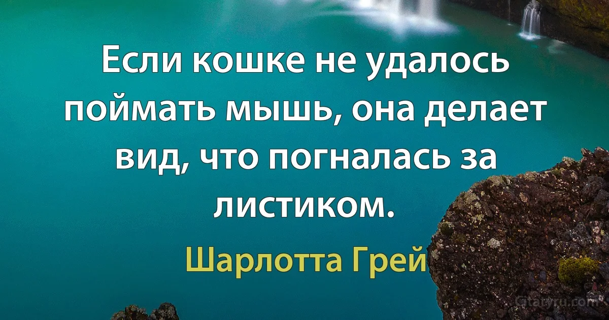 Если кошке не удалось поймать мышь, она делает вид, что погналась за листиком. (Шарлотта Грей)