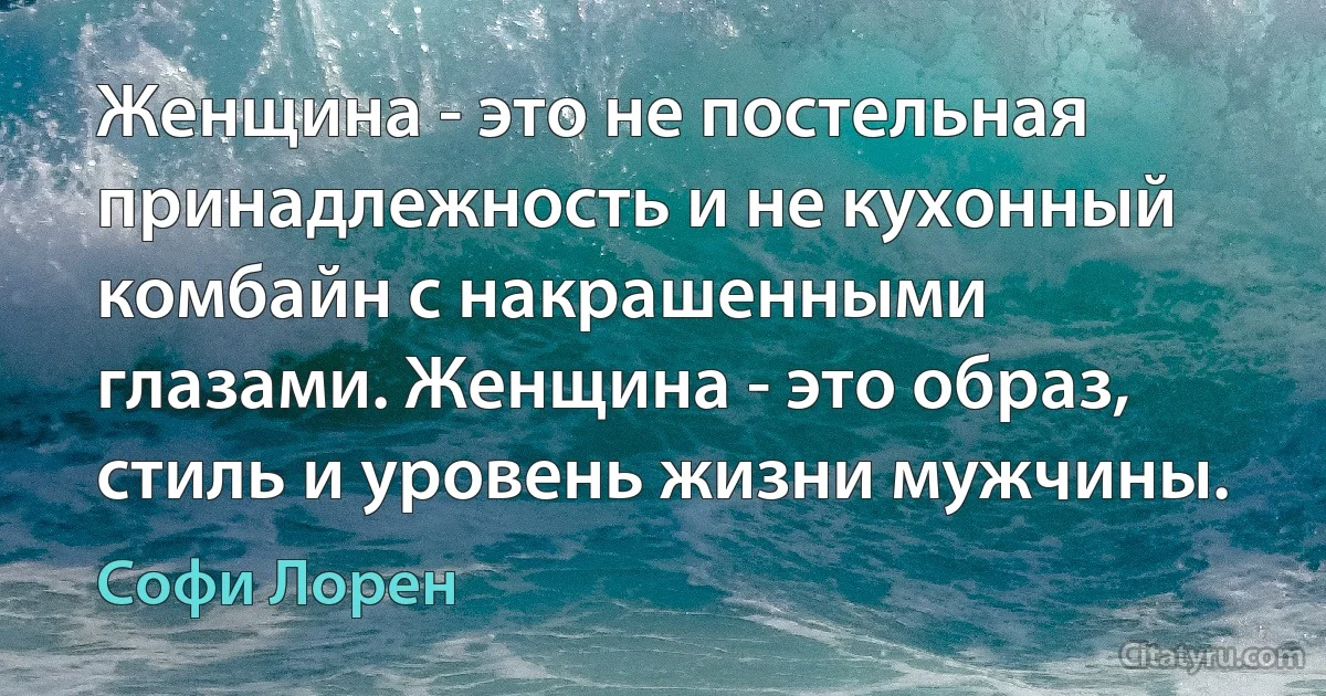 Женщина - это не постельная принадлежность и не кухонный комбайн с накрашенными глазами. Женщина - это образ, стиль и уровень жизни мужчины. (Софи Лорен)