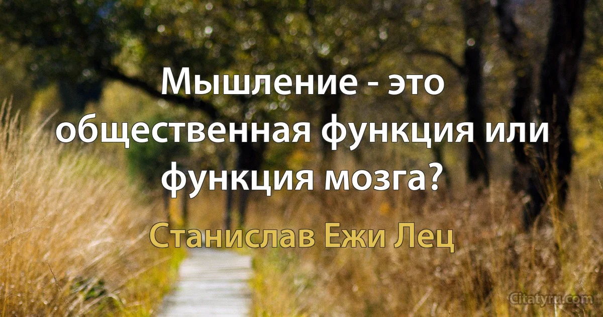 Мышление - это общественная функция или функция мозга? (Станислав Ежи Лец)