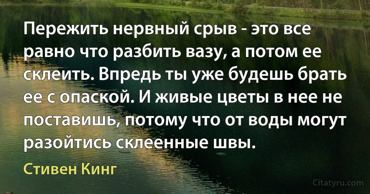 Пережить нервный срыв - это все равно что разбить вазу, а потом ее склеить. Впредь ты уже будешь брать ее с опаской. И живые цветы в нее не поставишь, потому что от воды могут разойтись склеенные швы. (Стивен Кинг)