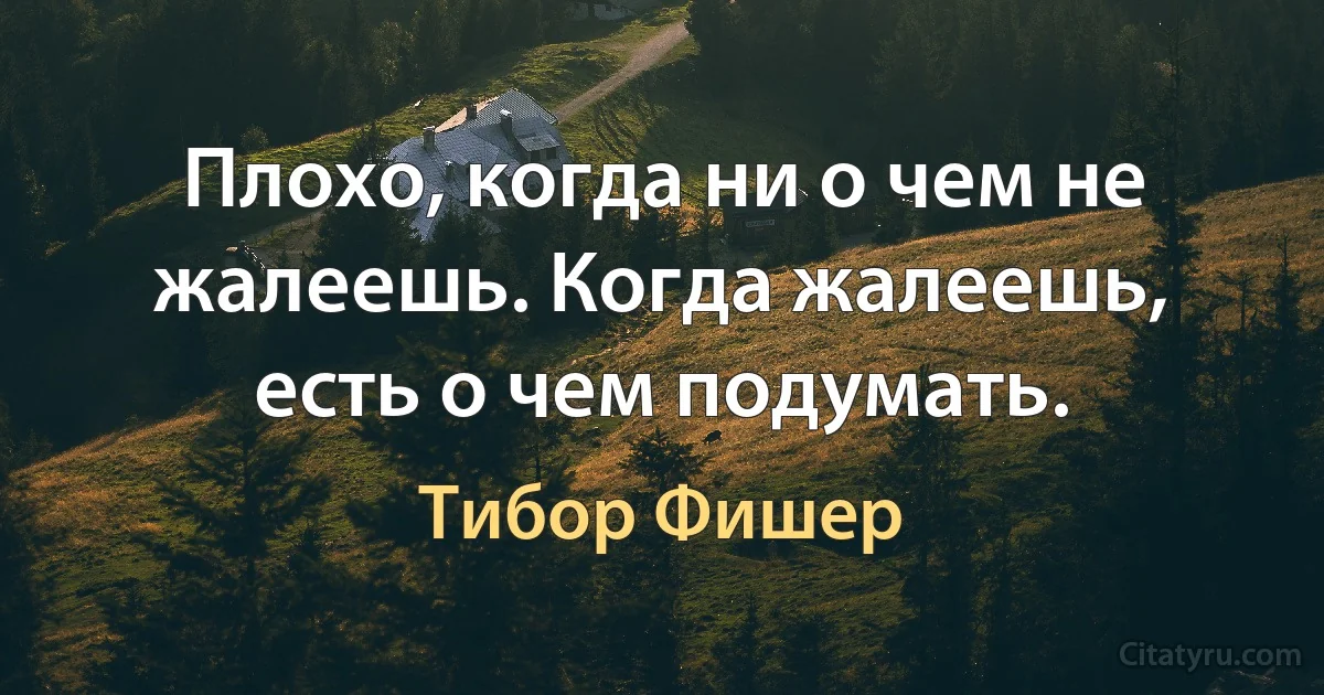 Плохо, когда ни о чем не жалеешь. Когда жалеешь, есть о чем подумать. (Тибор Фишер)