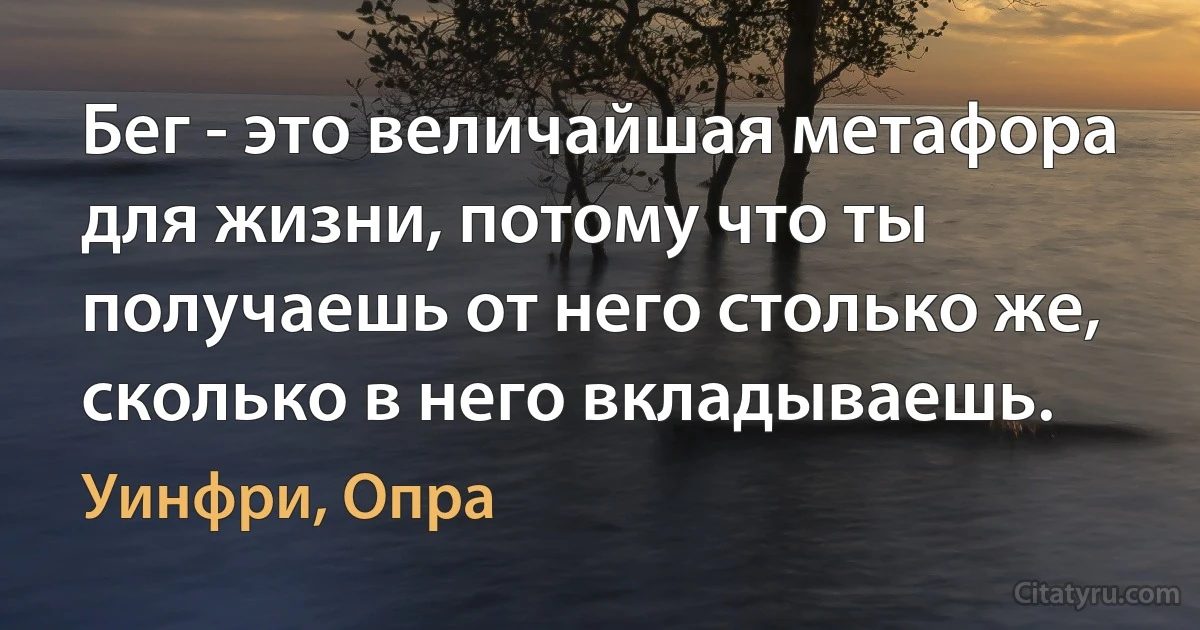 Бег - это величайшая метафора для жизни, потому что ты получаешь от него столько же, сколько в него вкладываешь. (Уинфри, Опра)