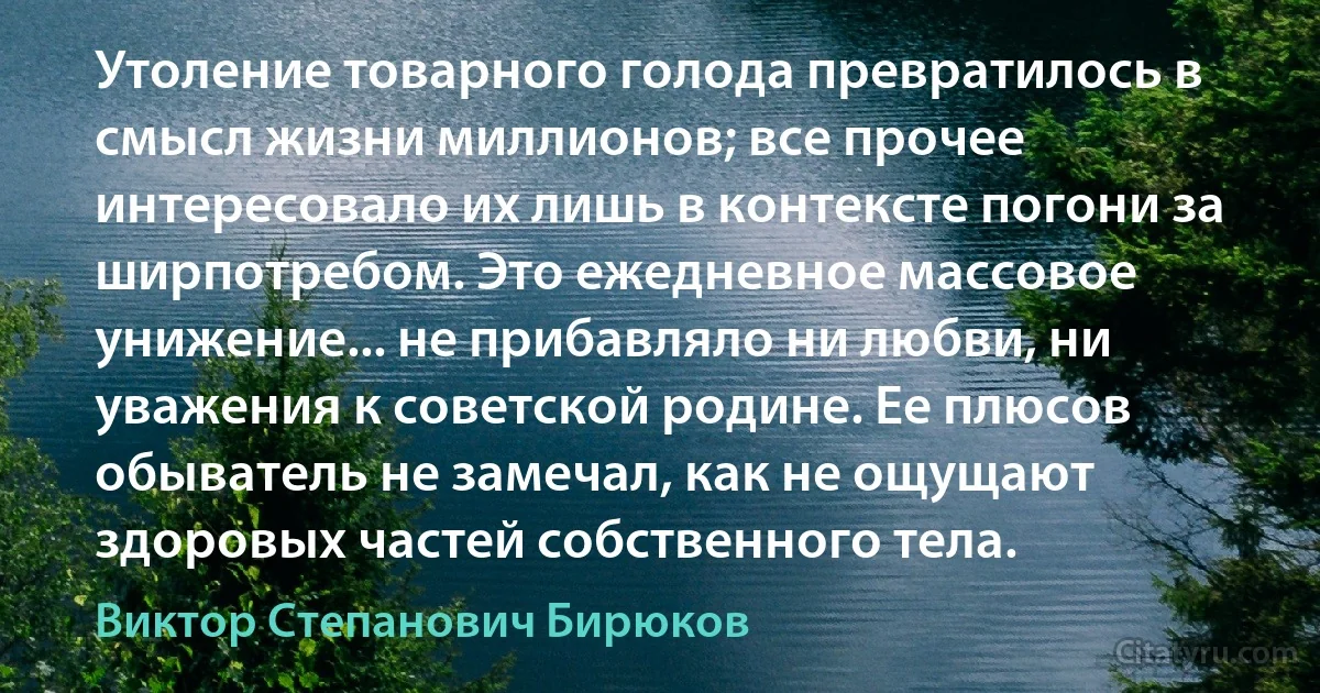 Утоление товарного голода превратилось в смысл жизни миллионов; все прочее интересовало их лишь в контексте погони за ширпотребом. Это ежедневное массовое унижение... не прибавляло ни любви, ни уважения к советской родине. Ее плюсов обыватель не замечал, как не ощущают здоровых частей собственного тела. (Виктор Степанович Бирюков)