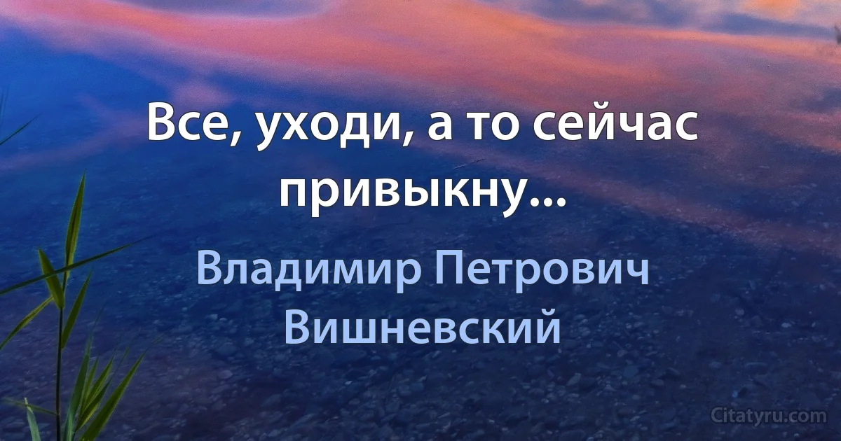 Все, уходи, а то сейчас привыкну... (Владимир Петрович Вишневский)