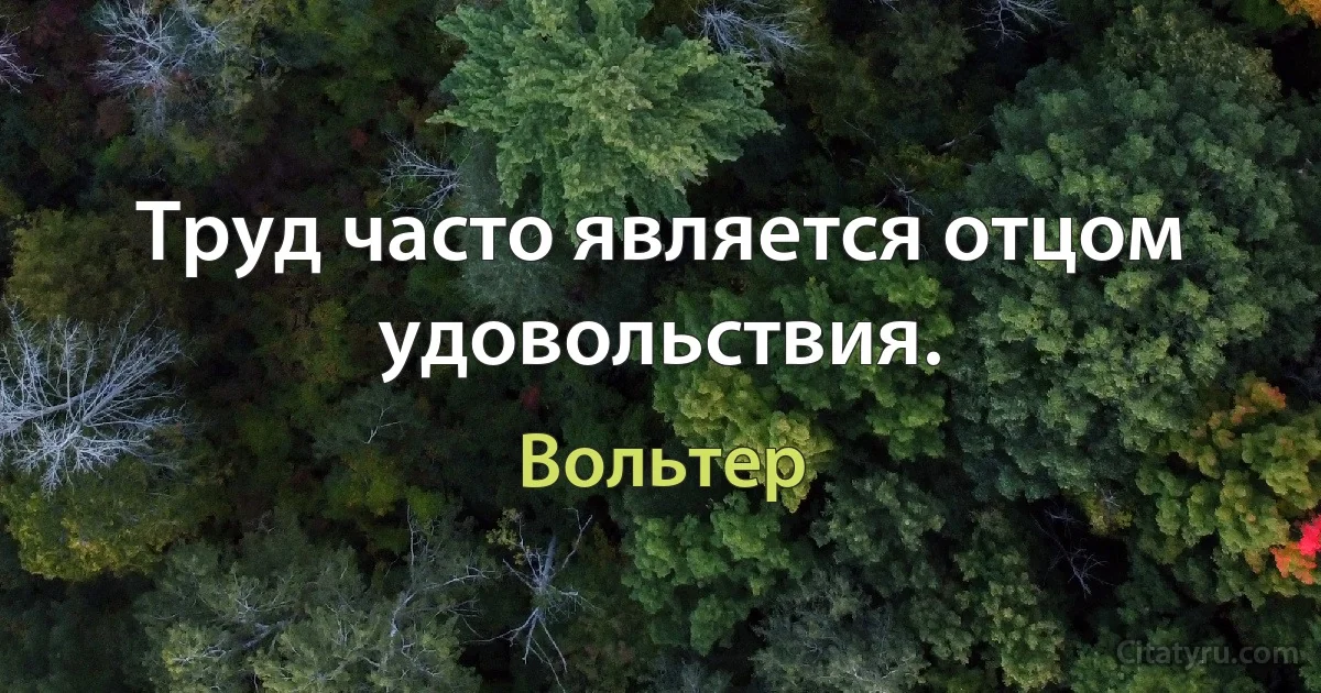 Труд часто является отцом удовольствия. (Вольтер)