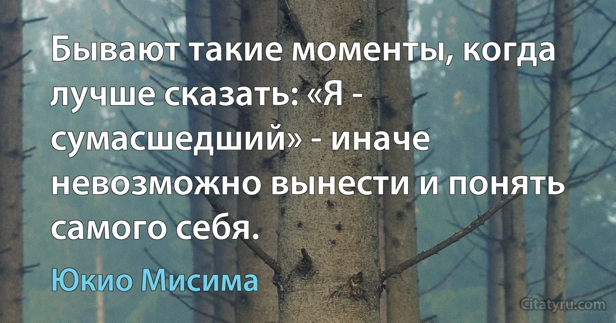 Бывают такие моменты, когда лучше сказать: «Я - сумасшедший» - иначе невозможно вынести и понять самого себя. (Юкио Мисима)