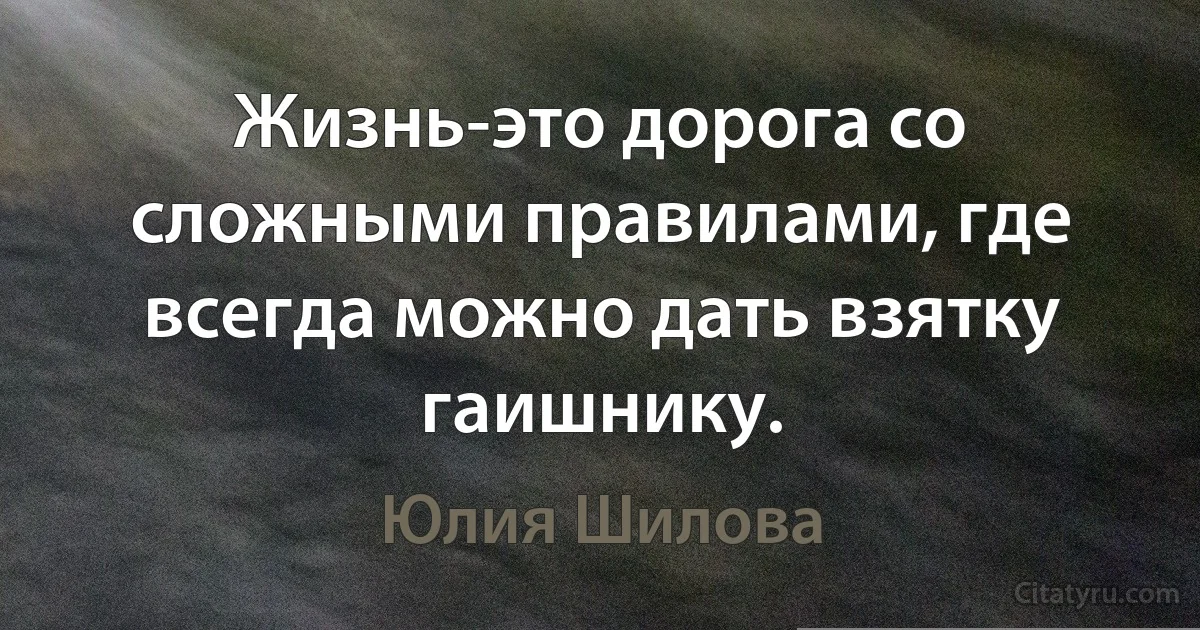 Жизнь-это дорога со сложными правилами, где всегда можно дать взятку гаишнику. (Юлия Шилова)