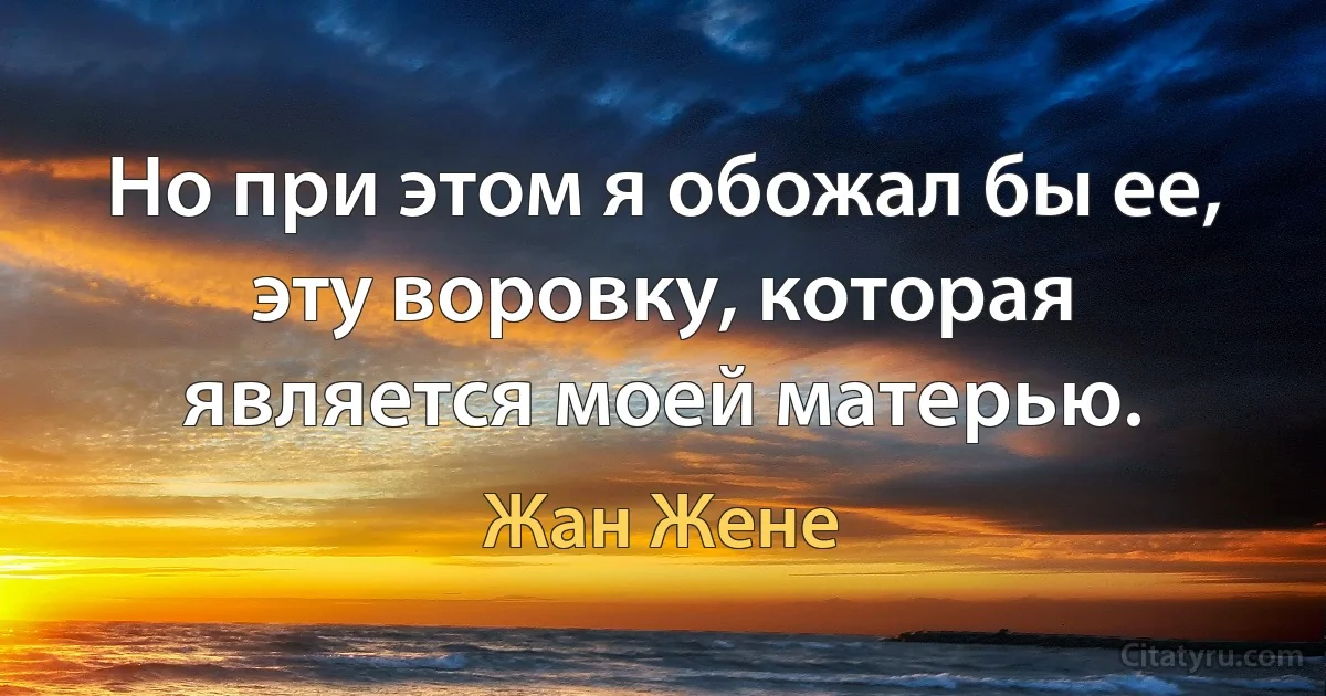 Но при этом я обожал бы ее, эту воровку, которая является моей матерью. (Жан Жене)