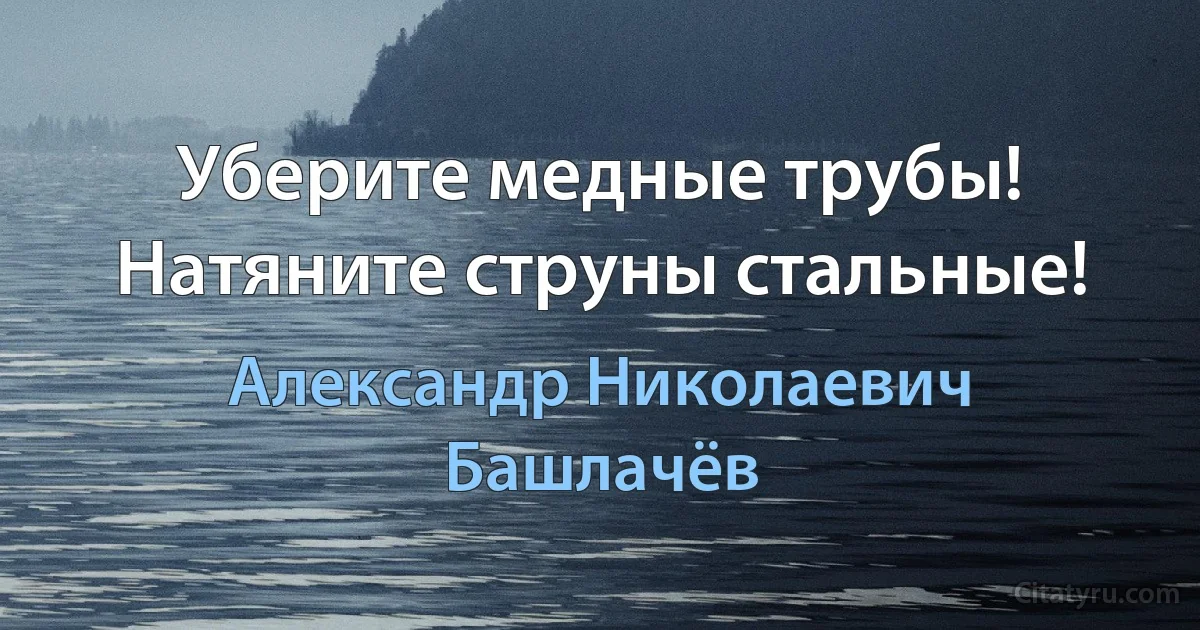 Уберите медные трубы! Натяните струны стальные! (Александр Николаевич Башлачёв)