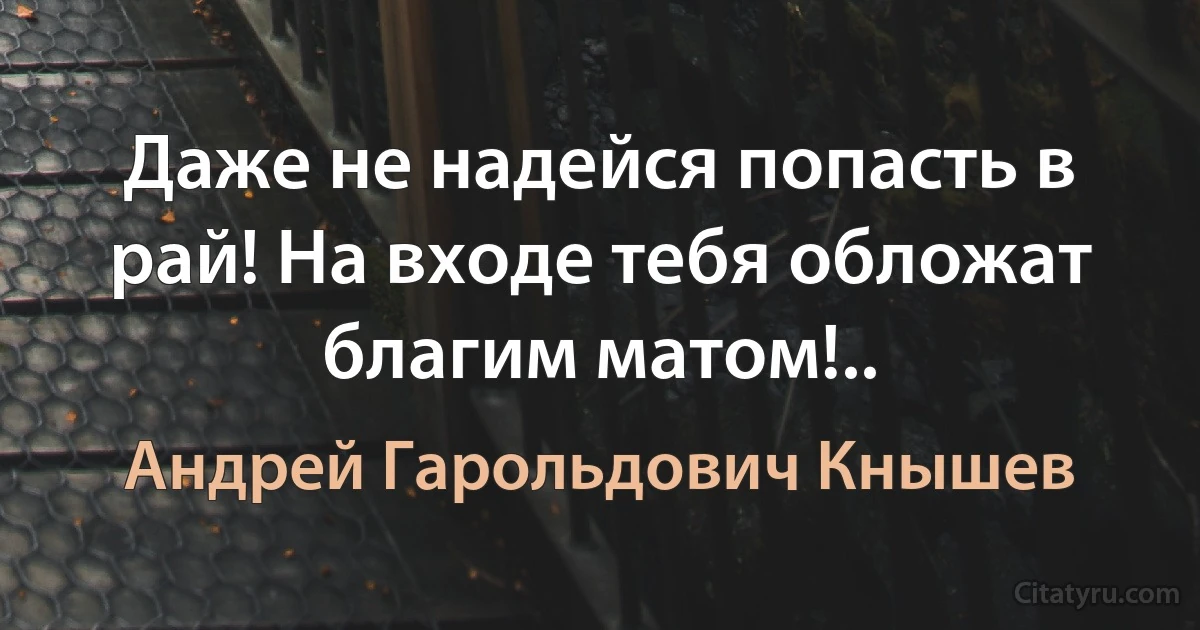 Даже не надейся попасть в рай! На входе тебя обложат благим матом!.. (Андрей Гарольдович Кнышев)