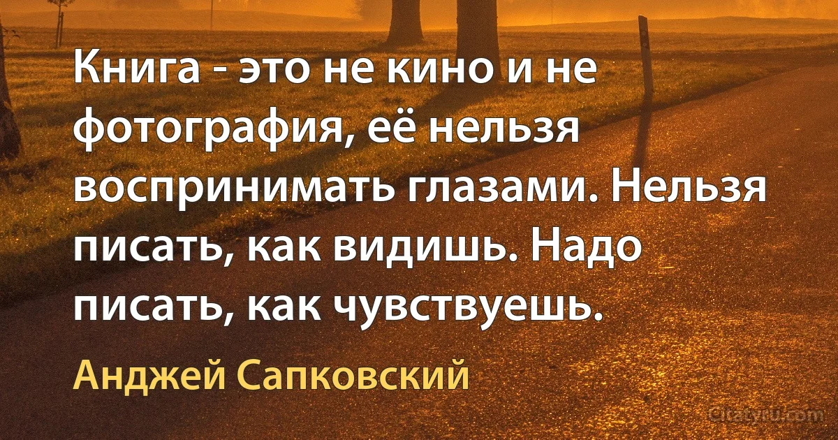 Книга - это не кино и не фотография, её нельзя воспринимать глазами. Нельзя писать, как видишь. Надо писать, как чувствуешь. (Анджей Сапковский)