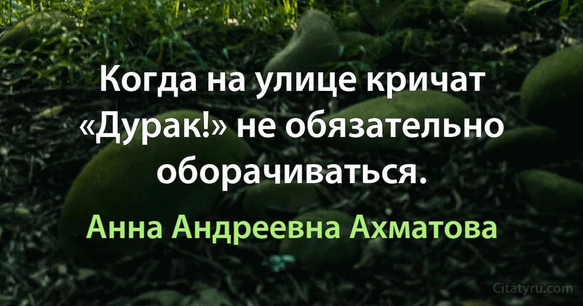 Когда на улице кричат «Дурак!» не обязательно оборачиваться. (Анна Андреевна Ахматова)