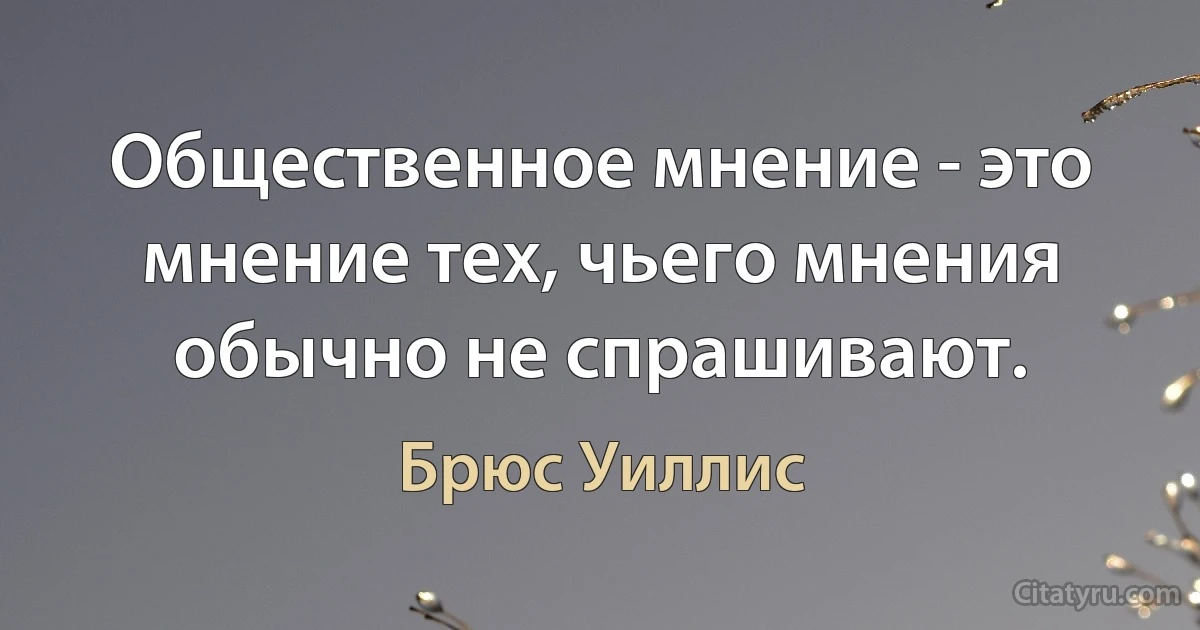 Общественное мнение - это мнение тех, чьего мнения обычно не спрашивают. (Брюс Уиллис)