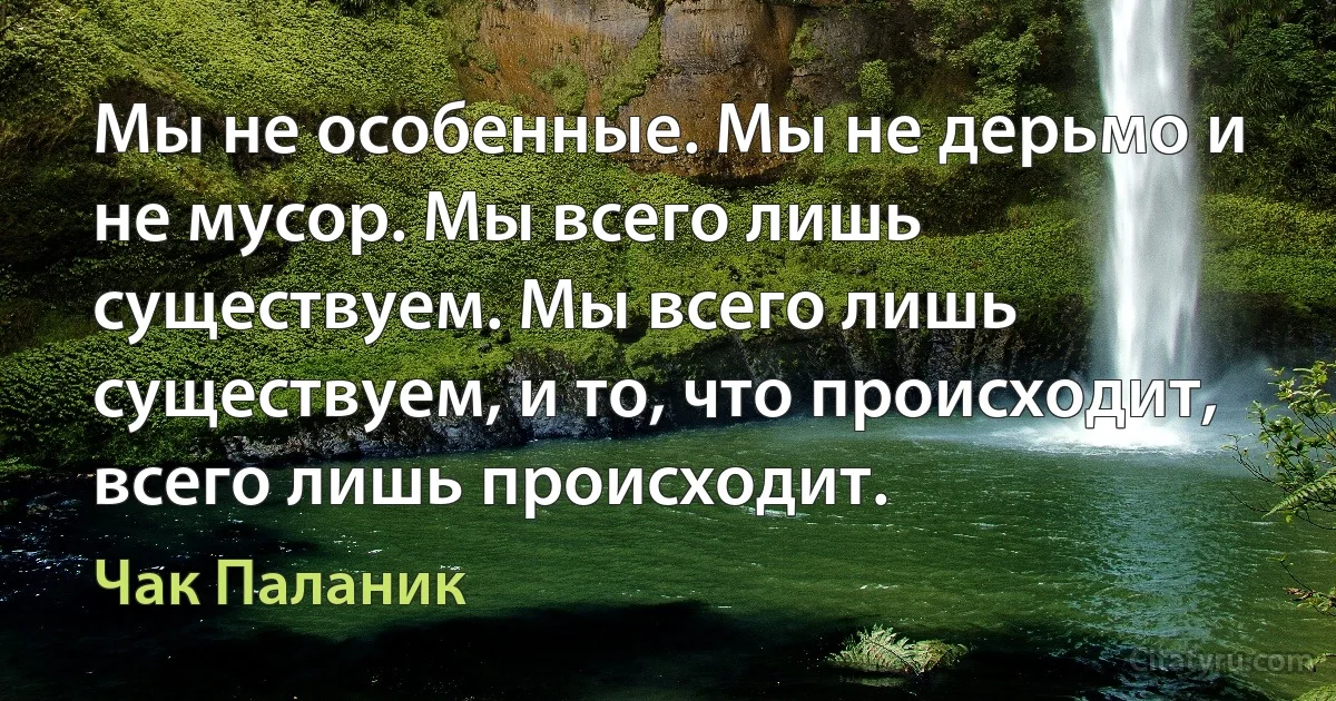 Мы не особенные. Мы не дерьмо и не мусор. Мы всего лишь существуем. Мы всего лишь существуем, и то, что происходит, всего лишь происходит. (Чак Паланик)