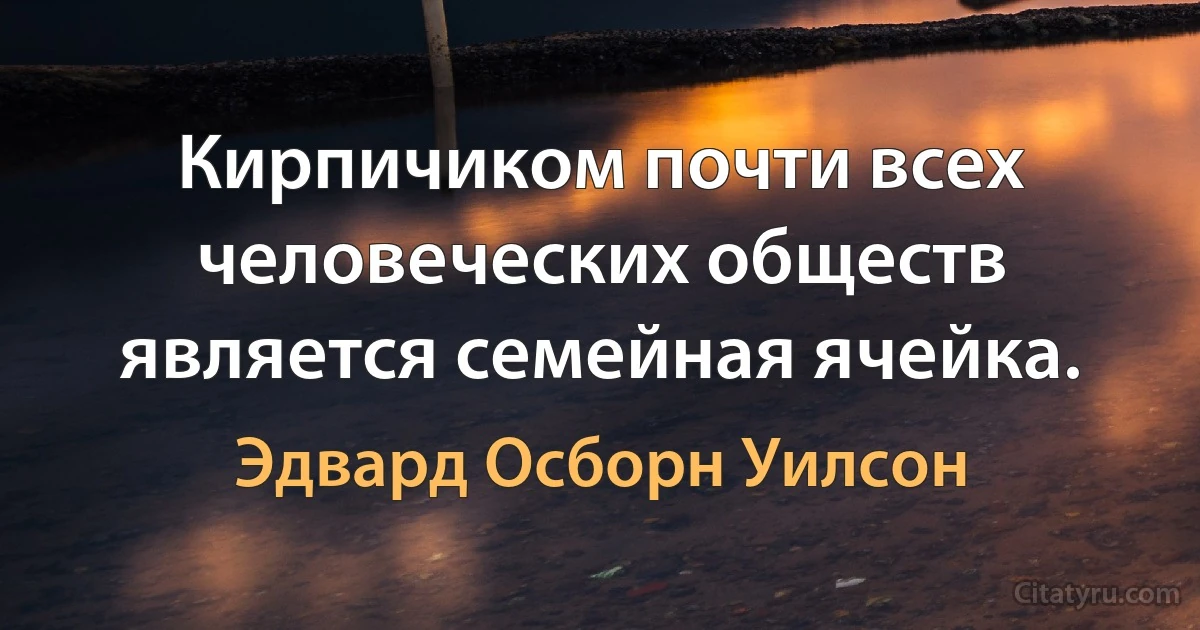 Кирпичиком почти всех человеческих обществ является семейная ячейка. (Эдвард Осборн Уилсон)