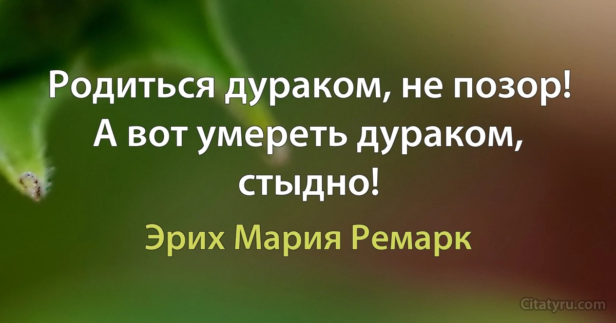 Родиться дураком, не позор! А вот умереть дураком, стыдно! (Эрих Мария Ремарк)