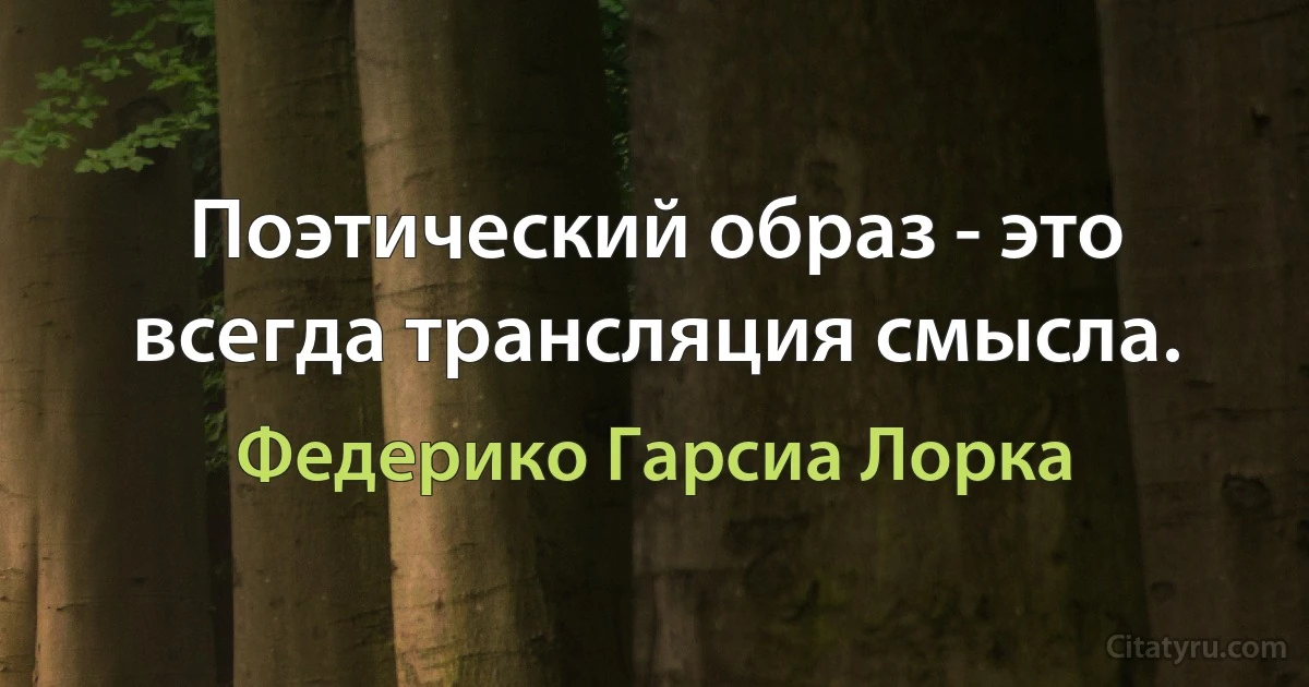 Поэтический образ - это всегда трансляция смысла. (Федерико Гарсиа Лорка)