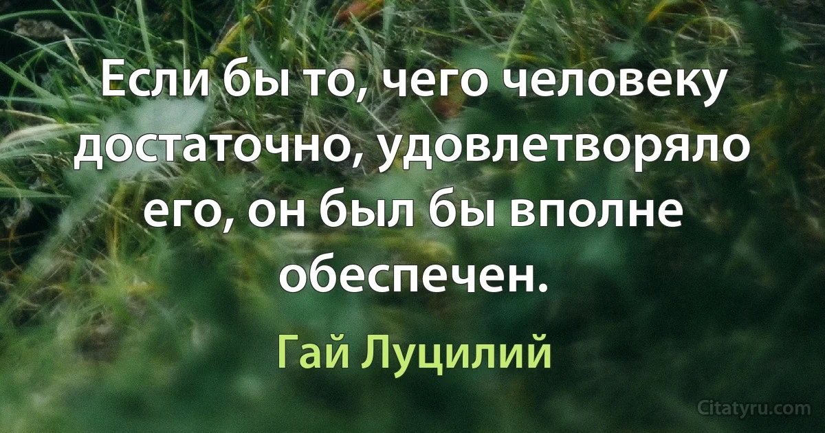 Если бы то, чего человеку достаточно, удовлетворяло его, он был бы вполне обеспечен. (Гай Луцилий)