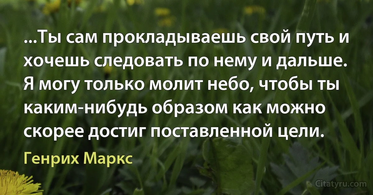 ...Ты сам прокладываешь свой путь и хочешь следовать по нему и дальше. Я могу только молит небо, чтобы ты каким-нибудь образом как можно скорее достиг поставленной цели. (Генрих Маркс)