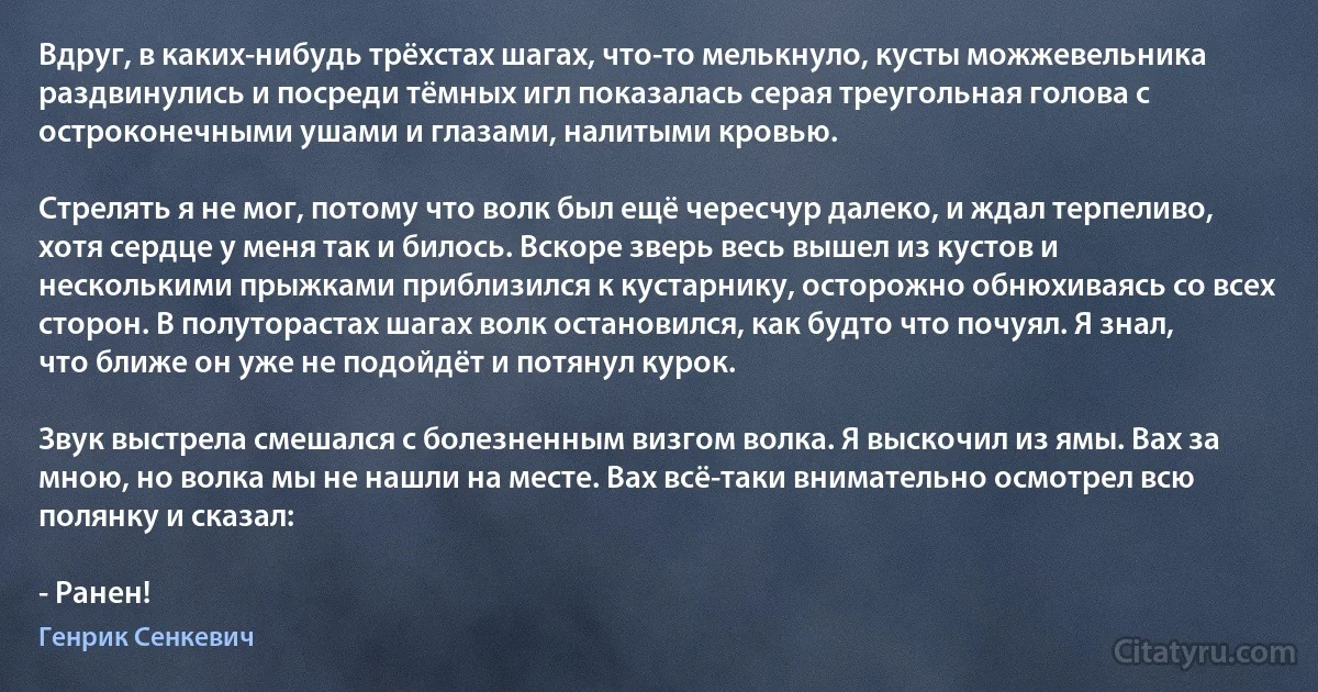 Вдруг, в каких-нибудь трёхстах шагах, что-то мелькнуло, кусты можжевельника раздвинулись и посреди тёмных игл показалась серая треугольная голова с остроконечными ушами и глазами, налитыми кровью.

Стрелять я не мог, потому что волк был ещё чересчур далеко, и ждал терпеливо, хотя сердце у меня так и билось. Вскоре зверь весь вышел из кустов и несколькими прыжками приблизился к кустарнику, осторожно обнюхиваясь со всех сторон. В полуторастах шагах волк остановился, как будто что почуял. Я знал, что ближе он уже не подойдёт и потянул курок.

Звук выстрела смешался с болезненным визгом волка. Я выскочил из ямы. Вах за мною, но волка мы не нашли на месте. Вах всё-таки внимательно осмотрел всю полянку и сказал:

- Ранен! (Генрик Сенкевич)